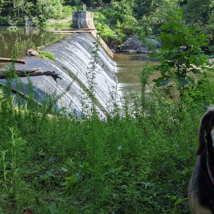 1_PXL_20210814_140417886-scaled-1