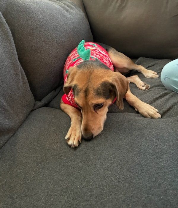 1_IMG_20211225_083440