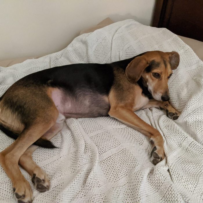 1_IMG_20200828_203047-scaled-1